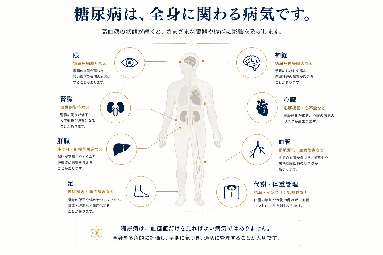 糖尿病は、全身に関わる病気です。眼・神経・腎臓・心臓・肝臓・血管・足・代謝と体重管理への影響の図解