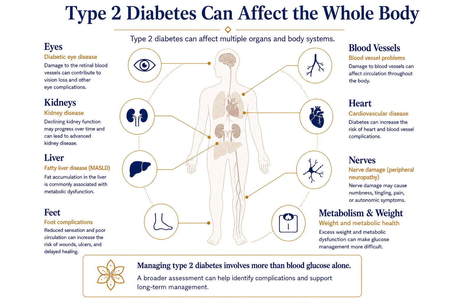 How type 2 diabetes can affect the eyes, kidneys, heart, nerves, liver and feet