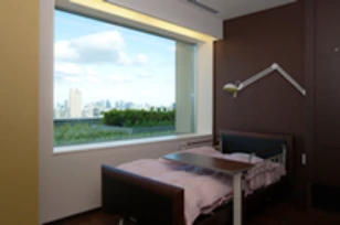 View from the private room