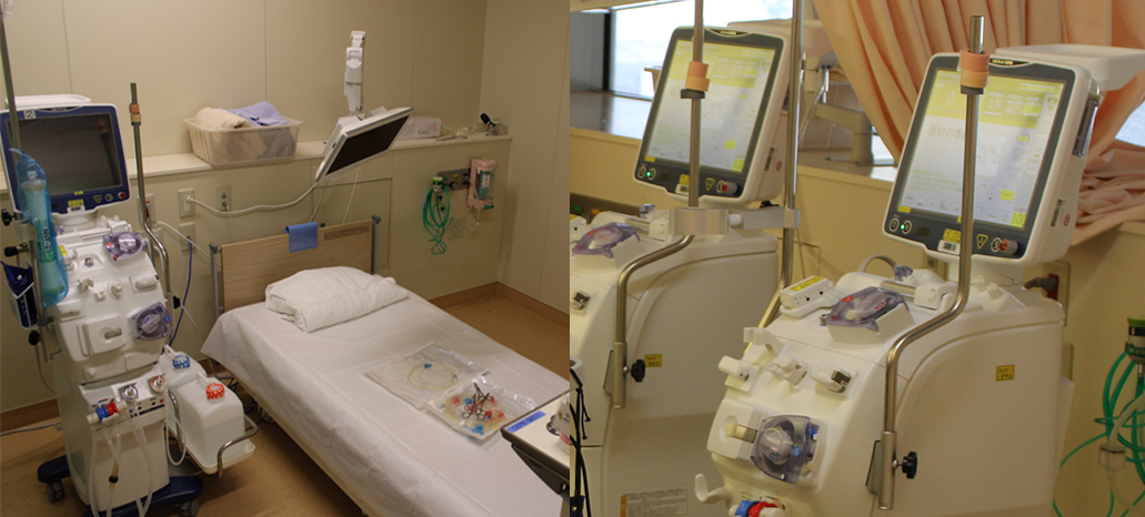 Dialysis facility for international travelers